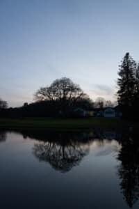 Pond at Woking Golf Club - Silhouettes and reflections at the pond with moon by John Clark