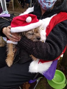 202101~20201219~Rural_life_centre~Covid_Santa_asleep_with_owner_2020!!!!`Peter_Collins~131029224jpg_2P