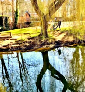 River Wey, Guildford - Spring Reflections by Josh Kamdar