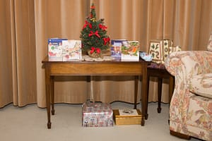 202101~20201225~Home_Woking~Only_a_mini-tree_for_our_strangest_Christmas_yet`John_Clark~L2605