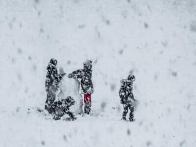 Local - Snow by Mary Edwards