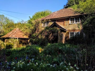 Old Cottage Woodstreet walk - Typical english country Cottage by Peter Collins