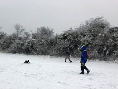 Pewley Down - Excited dog in the snow by Bill Dunnett