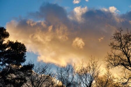 Every Cloud - From the Garden by Wendy Corrigan