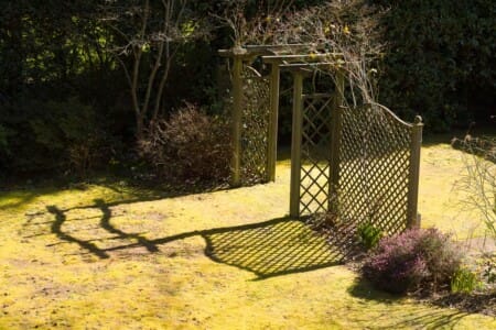 Home - Springtime Shadows by John Clark