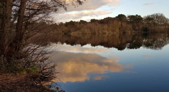 Reflections on Mytchett Lake by Peter Loveland