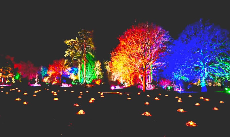 Christmas Joy in Surrey