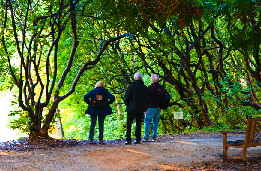 Ramster Gardens