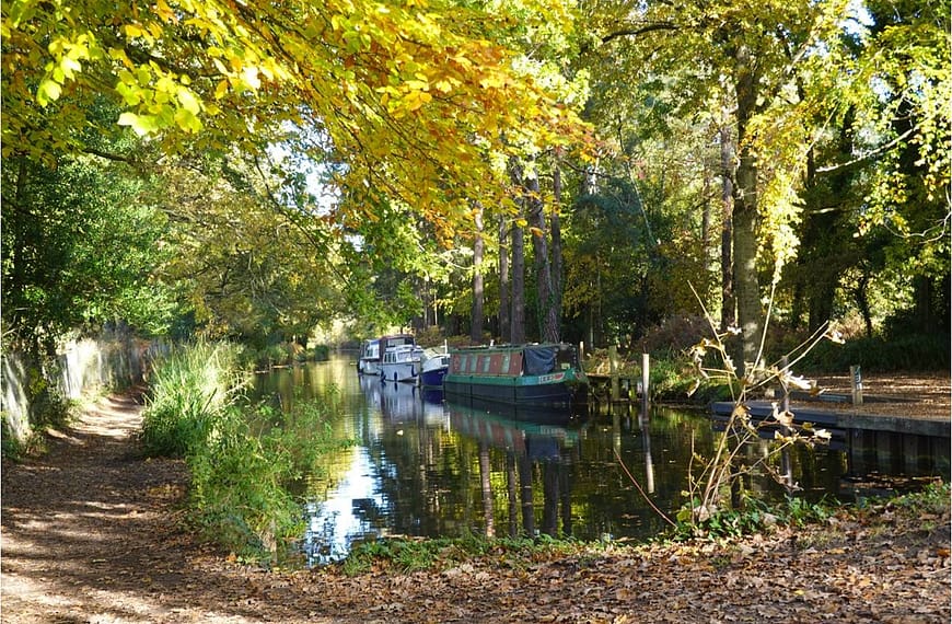 Basingstoke Canal