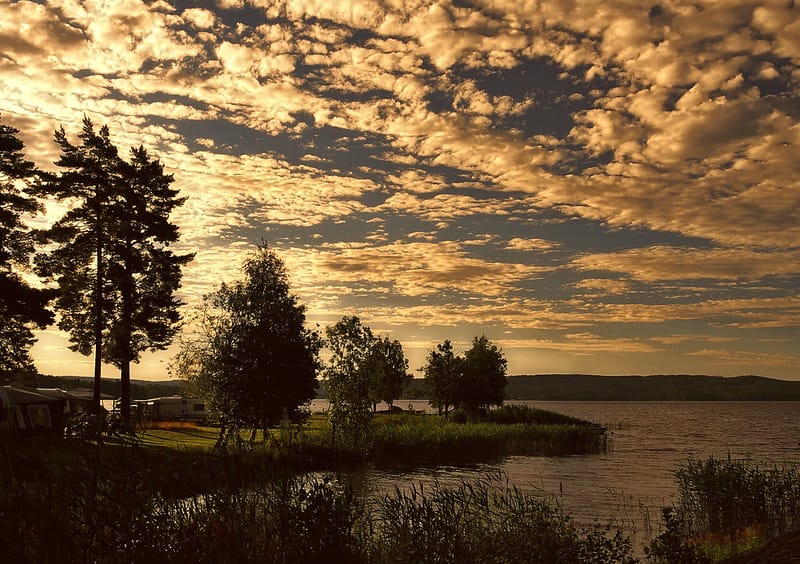 Summer Breeze