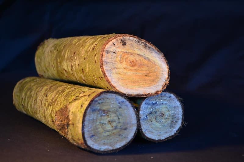 Wood